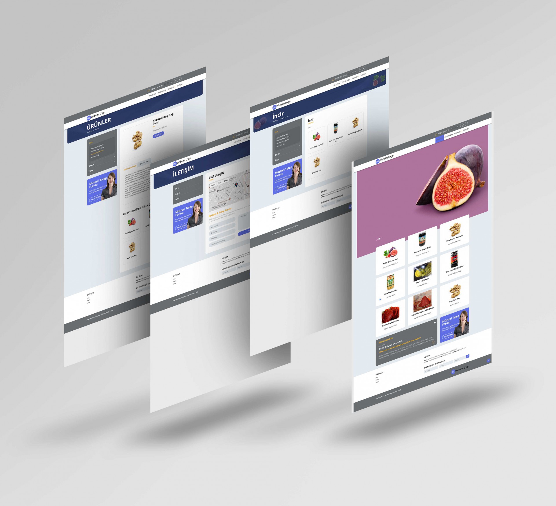 MİNİ TANITIM SİTESİ